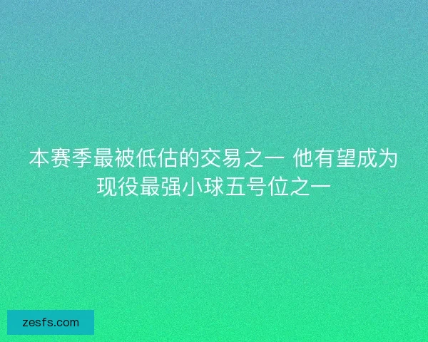 本赛季最被低估的交易之一 他有望成为现役最强小球五号位之一
