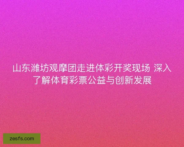 山东潍坊观摩团走进体彩开奖现场 深入了解体育彩票公益与创新发展 山东潍坊观摩团走进体彩开奖现场 深入了解体育彩票公益与创新发展