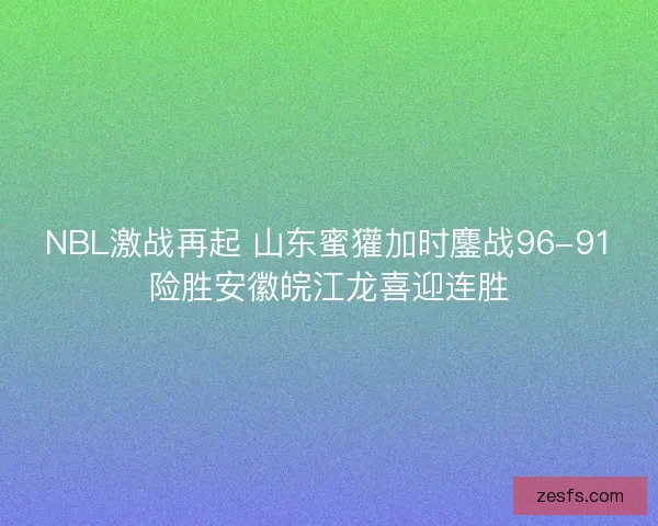 NBL激战再起 山东蜜獾加时鏖战96-91险胜安徽皖江龙喜迎连胜